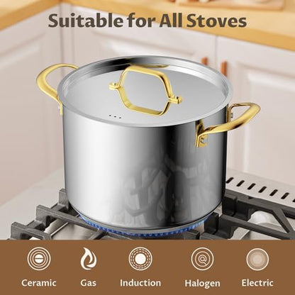 BEZIA 12 Quart Stainless Steel Stock Pot with Lid, 0-Coating Large Soup Pot for Family Gatherings, Tri-ply Even Heat for Holiday Feasts, Batch Cooking & Canning