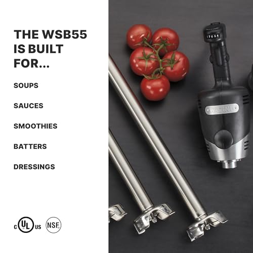 Waring Commercial Big Stix Heavy Duty Stick Immersion Hand Held Blender, 14" Removable Shaft, 1 HP, 750 Watt, Variable Speed Motor, Professional Restaurant Grade, 15 Gal Capacity, 120V, 5-15P WSB55, Black/Silver