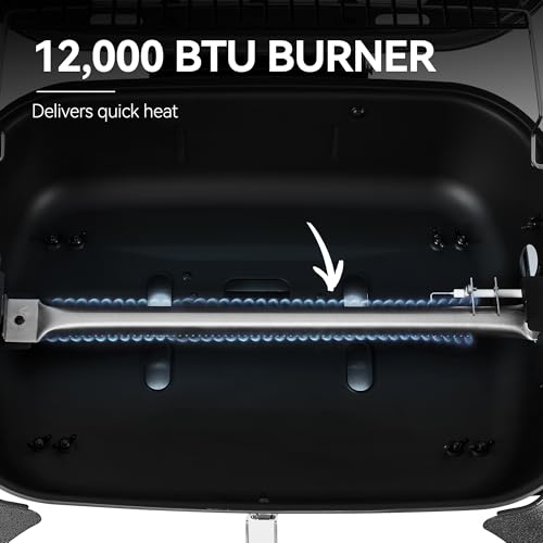 Royal Gourmet GT2006 Portable Tabletop Gas Grill, 12,000 BTU Output for Outdoor Camping, Foldable Legs, Piezo Ignition, Built-in Thermometer, for Tailgates and Camping Trips, Dark Gray