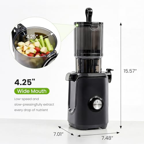 KMFurnila Slow Masticating Juicer, 200W Cold Press Juicer Machine with Safety Lock & Reverse Function, Juice Extractor for Fruits & Vegetables, Easy Clean, Black