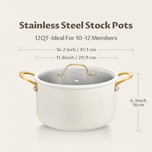 BEZIA 12 Quart Stainless Steel Stock Pot with Lid, Soup Pot for Large Gatherings & Holiday Feasts, Induction Compatible with Silicone-Rimmed Lid, Easy Cleanup