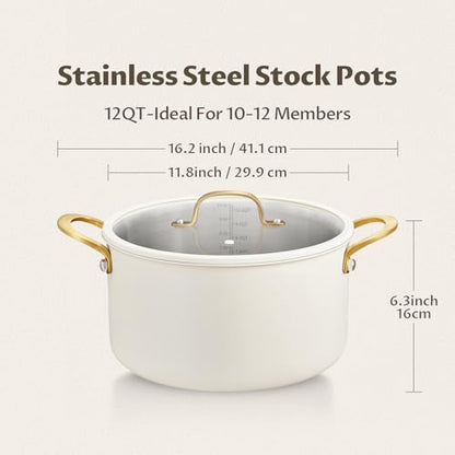 BEZIA 12 Quart Stainless Steel Stock Pot with Lid, Soup Pot for Large Gatherings & Holiday Feasts, Induction Compatible with Silicone-Rimmed Lid, Easy Cleanup