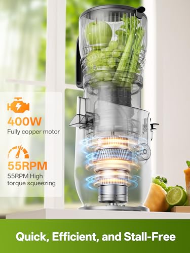 ORAINN Juicer Machines with 5.8" Large Feed Chute, 450W Cold Press Juicer for Whole Vegetables and Fruits, Slow Masticating Juicer Easy to Clean Juice Extractor Machine High Juice Yield (Grey)