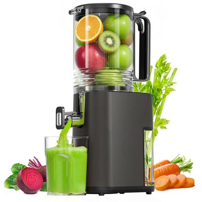 Cold Press Juicer with 5.5" Wide Feed Chute, Slow Masticating Juicer Machine for Whole Fruits & Vegetables, High Juice Yield, Gray