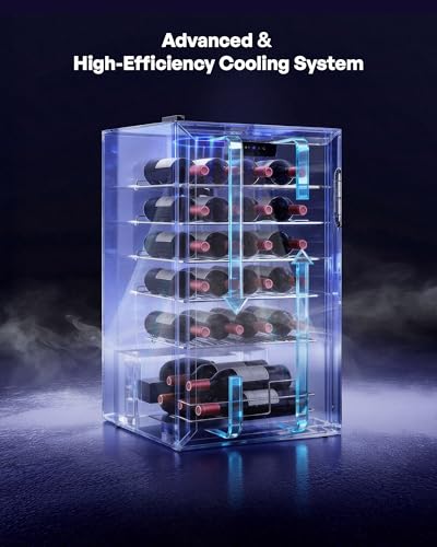 Icyglee 25 Bottle Compressor Wine Cooler Refrigerator, Freestanding Wine Cellar, 41-64°F Adjustable Temperature, Double-layer Glass Door, for Home Bar, Red and White Wine, Silver
