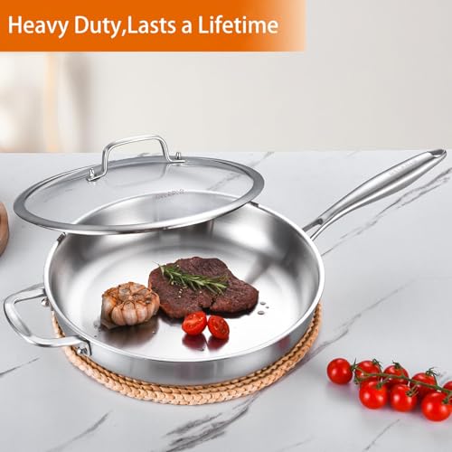 DELARLO Stainless Steel Pan 14-Inch, Large Frying Pan with Lid, Heavy Duty, Compatible with Induction, Gas and Electric up to 650℉, Fast & Even Heating, Dishwasher, Oven Safe Skillet, PTFE & PFOA Free