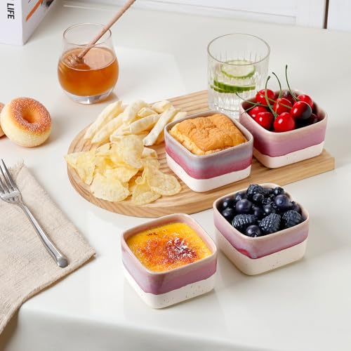 NUTRIUPS 8 oz Ramekins Oven Safe - Square Custard Cups, Ceramic Ramekins for Pudding, Creme Brulee,Souffle, Serving Dip, Ice Cream, 4-Piece Set (Pastel Lilac Flow)