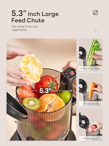 Cold Press Juicer Slow Masticating Machine with 5.5 Inch Chute(Silver)