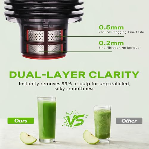 Cold Press Juicer, Juicer Machines with 5.3" Wide Feed Chute, Slow Masticating Juicer for Whole Fruits and with Vegetables High Yield (Gray)