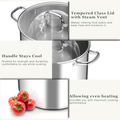 Leonyo 20QT Stock Pot, 18/10 Stainless Steel Soup Pot With Lid, Heavy Duty Stockpot Compatible with All Stoves, Food Grade Cookware for Pasta, Seafood, Spaghetti, Non Stick & Tri-Ply Base