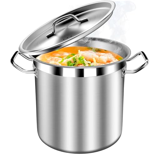STOCKPOT Stock Pot 20 Quart with Lid – Stainless Steel Cooking Pot for Soup, Stew, and Pasta – Heavy Duty Induction Compatible Stockpot for Kitchen or Commercial Use, Oven Safe