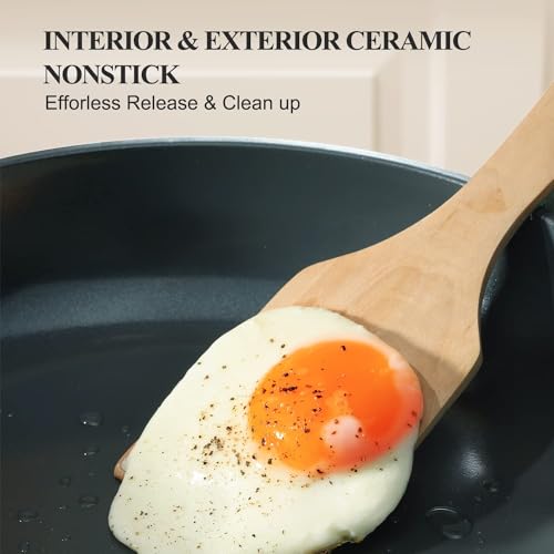 PRICUSIS Nonstick Ceramic Frying Pan with Lid, Non Toxic Skillet, Healthy Egg & Omelet & Chef's Skillet, PTFE PFOA & PFAS Free, Induction Compatible. (10Inch W/L)