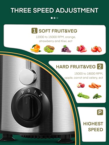 Juicer Machines, HOUSNAT Juicer Whole Fruit and Vegetables with 3-Speed Setting, 400 W Motor Quick Juicing Ideal for Beginners & Light Daily Use, Cleaning Brush and Juicing Recipe Included