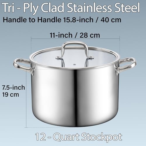 Cook N Home Classic Tri-Ply Clad Stock Pot, Stainless Steel Stock Pot with Lid, Cooking Pot for Pasta, Spaghetti, Large Soup Pot with Handle, Cookware for Canning, Boiling, Simmer, Oven Safe, 12-QT