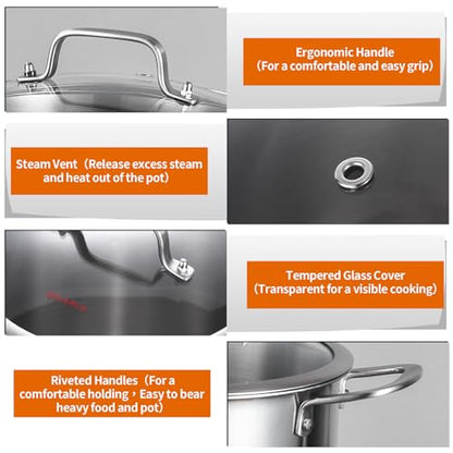 DELARLO Tri-Ply Stainless Steel 8 Quart Stock Pot, Heavy-Duty, All Stove Compatible, Up to 600℉ Soup Pot with Lid, 18/10 Induction Big Stockpot with Lids, Large Stainless Steel Induction for Cooking