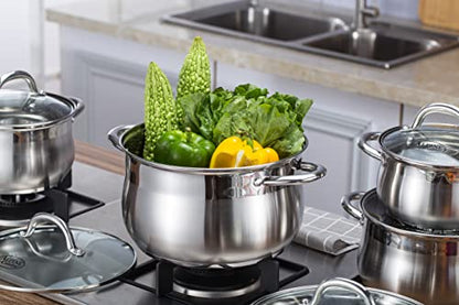 Alpine Cuisine Stainless Steel Dutch Oven Belly Shape 4 Quart - Heavy Duty Pot with Tempered Glass Lid,Comfortable Handles, Dishwasher Safe & Easy to Clean
