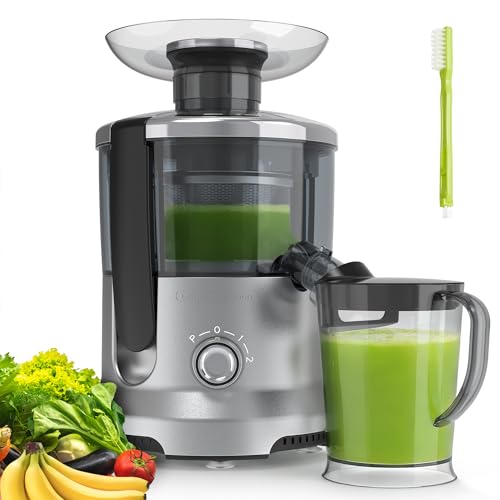 NEWBULIG Centrifugal Juicer, 600W Juicer Machine with 2.5" Feed Chute & 17,000 RPM, 3-Speed Juice Extractor for Whole Fruits Vegetables, Easy to Clean, BPA-Free, Silver