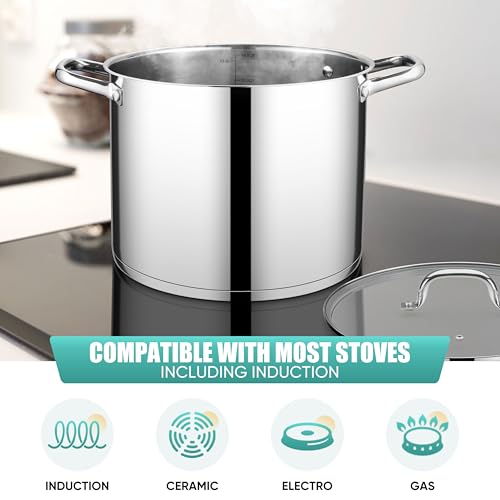 E-far 14 Quart Stainless Steel Stock Pot, Heavy Duty Induction Stockpot with Glass Lid for Cooking Soup Canning, Thick Tri-Ply Bottom & Riveted Handles, Compatible with All Stoves, Dishwasher Safe