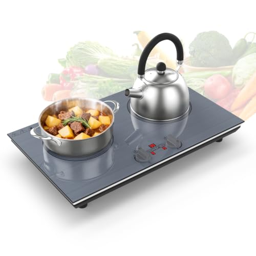 GIHETKUT 2 burner Induction cooktop,110V 4000W induction hot plate with Brushed Panel,Knob Control,9 Power Levels, Kids Lock & Timer,LED touch control 2 burner induction cooker