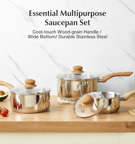 KOCH SYSTEME CS Stainless Steel Saucepan, 1 Quart Stainless Steel Pot with 5-Layer Stainless Base, Sauce Pan with Lid & Stay-Cool Handle, Small Pot 1 Quart, Induction Compatible