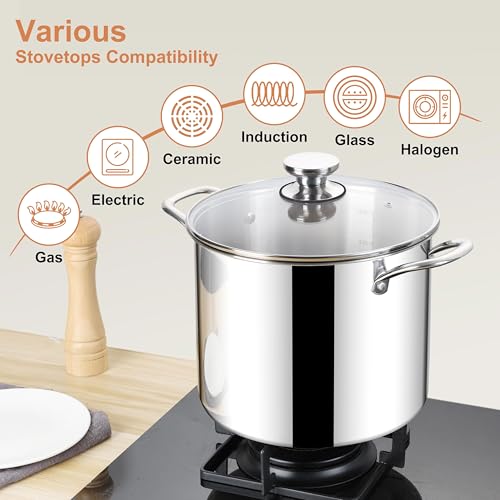 Herogo 10 Quart Stock Pot, 18/10 Stainless Steel Large Cooking Pot with Lid, 10 QT Metal Pasta Stockpot for Chicken Soup, Tri-ply Big Stockpot for Induction Gas Electric Stove, Dishwasher Safe