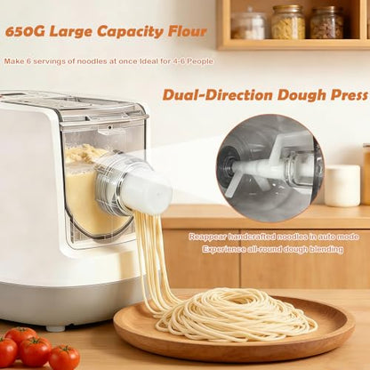 Electric Pasta Maker, Automatic Pasta Maker Machine, Comes with 13 Types Shapes & 650g Flour Large Capacity, Electric Noodle Machine for Spaghetti, Fettucine and Macaroni, Easy to Clean