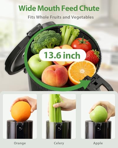 ECOSELF Cold Press Juicer - Wide Mouth Hopper for Fruits & Vegetables & Leafy Greens - Juicer Machines with Self Feeding - Hands-Free Design - Juice Extractor Machine Easy to Clean With Brush