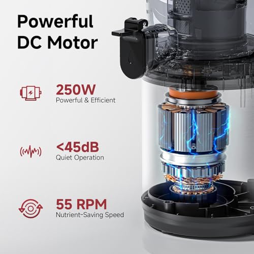 Cold Press Juicer Machine with 6" Extra-Wide Feed Chute,Triple Stainless Steel Filter,Quiet DC Motor,Easy to Clean,Slow Masticating Juicer High Juice Yield, Grey