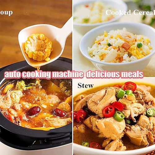 6L Automatic Cooking Machine,2000W auto Cooking Wok Fried Rice Machine,One-Click Smart Start, Three Speed Adjustable,360 ° Automatic Rotation, for Stir Frying,Stewing,Cooking,110V
