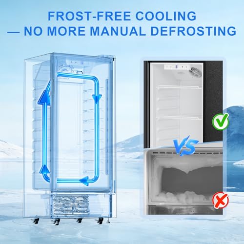 Antarctic Star Outdoor Beverage Refrigerator, 6 Cu. Ft. Glass Door Drink Fridge, Commercial Display Refrigerator with 4 Adjustable Shelves, for Shops, Restaurants, Bars