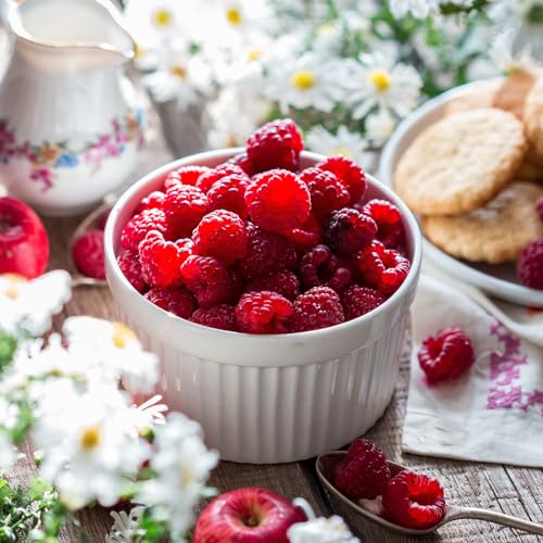 Foraineam Set of 12 Pcs 6 oz Porcelain Souffle Dishes, White Ramekins Bakeware Set Dessert Custard Baking Cups for Baking, Cooking, Serving and More