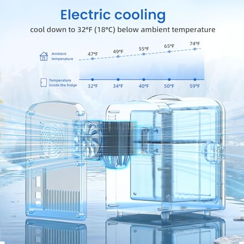 Antarctic Star 4L/6 Can Portable Mini Fridge,Personal Compact Refrigerator,Small Cooler for Food,Drinks or Skin Care, AC/DC for Bedroom, Car, Office & Dorm, Black