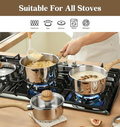 KOCH SYSTEME CS Stainless Steel Saucepan, 1 Quart Stainless Steel Pot with 5-Layer Stainless Base, Sauce Pan with Lid & Stay-Cool Handle, Small Pot 1 Quart, Induction Compatible