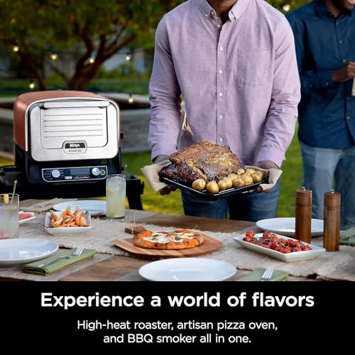Ninja Woodfire Outdoor Pizza Oven, 5-in-1 Portable Electric Roaster Oven, Heats up to 700°F, 5 Artisan Pizza Settings, Integrated BBQ Smoker Box, Includes Flavored Wood Pellets, Terracotta Red