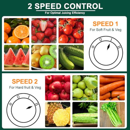 Juicer Machine, 500W Juicer with 3 Speed & 3” Feed Chute