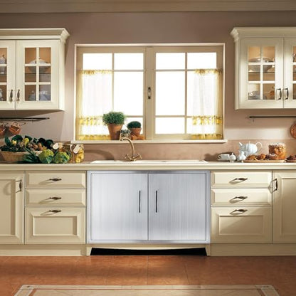 ZHAIUPON Double Door Dry Storage Pantry, 30" Stainless Steel Cabinet Storage for Outdoor Kitchen, BBQ Island, Patio Grill Station