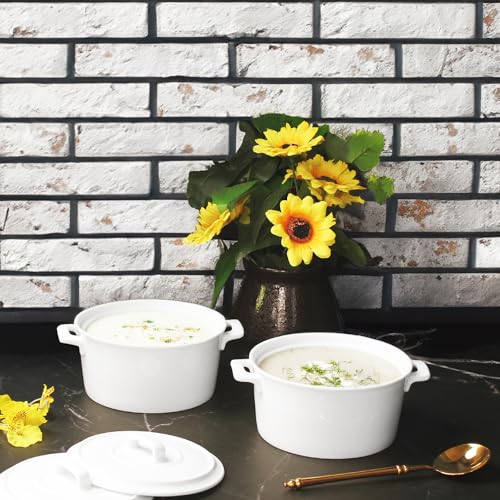 jinsongdafa 6" Mini Casserole Baking Dish Set of 2, 22.9 oz Cocotte with Lids, French Ceramic Serving Soup Tureen, Individual for 1 Person Servings Casserole Dish, Microwave Dishwasher Oven Safe