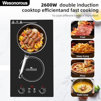 Wesonorous Double Induction Cooktop,110V 2600W 2 burner induction cooktop with hot plat with LED Touch Screen 10 Levels,Child Safety Lock & Timer 110V countertop burners