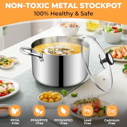 Tri-Ply Stainless Steel Stock Pot, 8 Quart Heavy Duty Induction Cooking Pot with Visible Lid for Pasta, Soup, Spaghetti, Sturdy & Double Handle, Dishwasher Safe