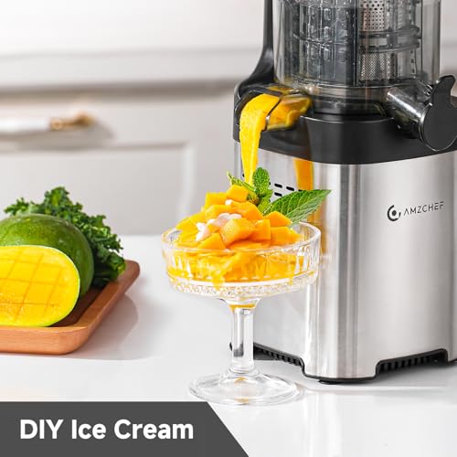 AMZCHEF Cold Press Juicer, 5.4" Juicer Machines with Large Feed Chute for Whole Fruits & Vegetables, Stainless Steel Juice Extractor with Large Auger, Dual Strainers, Easy Cleanup & Assembly