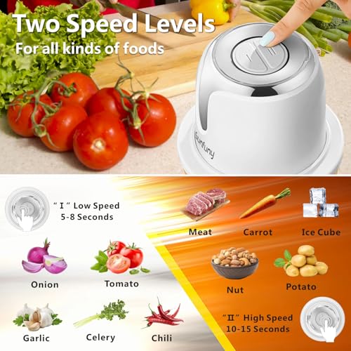 Food Processor Cordless, 6000mAh Wireless Garlic Chopper, 5-Cup Glass Bowl