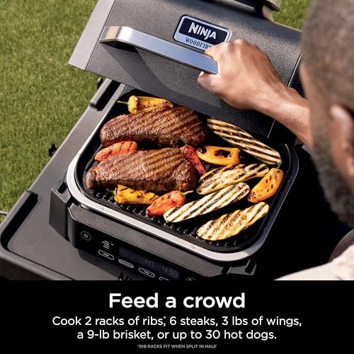 Ninja Woodfire Outdoor Grill & Smoker, 4-in-1 Functionality, Grill, Smoke, Bake, Roast, Authentic Woodfire Flavors, Electric Heat, OG301