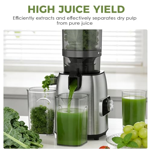 Cold Press Juicer with 5.3" Extra Wide Feed Chute, Slow Masticating Juicers Machines for Whole Fruit and Vegetable, High Yield Fruit Juicer, Easy Clean Design, BPA-Free