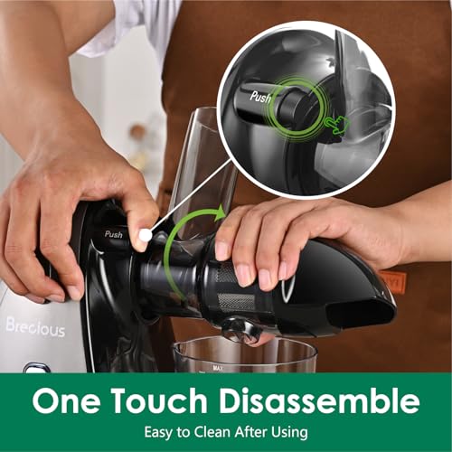 Slow Masticating Juicer,Brecious Cold Press Juicers with 2 Speed Modes & Quiet Motor,Juicers Machines Vegetable and Fruit with Reverse Function,Celery Juicer,BPA-Free,Easy to Clean (Silver)