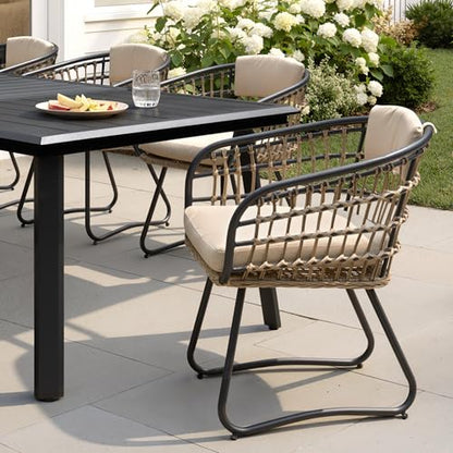 Pellebant 11 Piece Outdoor Dining Set for 10, Aluminum Table & Wicker Chair