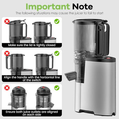 EanOruus Cold Press Juicer, 5.8" Wide Feed Chute Juice Extractor Machine with 400W, High Juice Yield, Slow Masticating Juicer for Whole Vegetables & Fruits, Silver