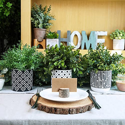 Winlyn 3-Pack Artificial Potted Plants - Faux Eucalyptus, Rosemary, Boxwood Greenery in Small Black & White Geometric Concrete Pots -Desk, Table, Shelf, Windowsill Decor for Indoor Outdoor Home Office