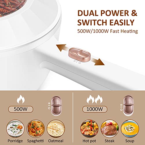 Bear Hot Pot Electric, 2L Multifunctional Portable Cooking Pot, 1000W Rapid Noodles Electric, Non-Stick Frying Pans for Steak, Egg, Ramen, Oatmeal With Dual Power Adjustment