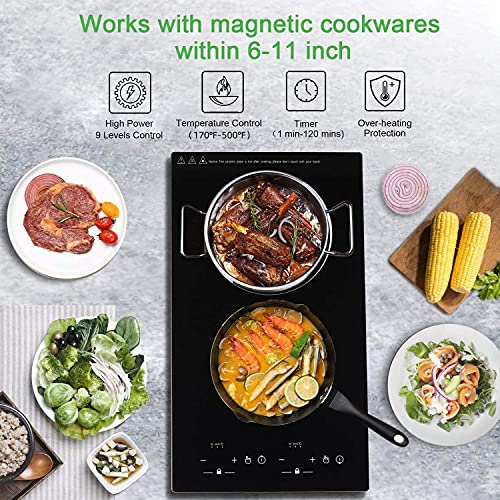 GTKZW 12“ Induction Cooktop, Double Induction Cooktop 2 Burner 110v-120v Electric Stove Top, Countertop and Built-in, 9 Power Levels, Child Lock, 120 Mins Timer