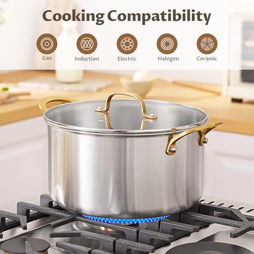 BEZIA 10 Quart 3-Ply Stainless Steel Stockpot, Soup Pot with Lid in Fully Clad Tri-Ply Stainless Steel, Even Heat Distribution, Cooking Pot with Handles, All Cooktops Compatible, Perfect for Stew